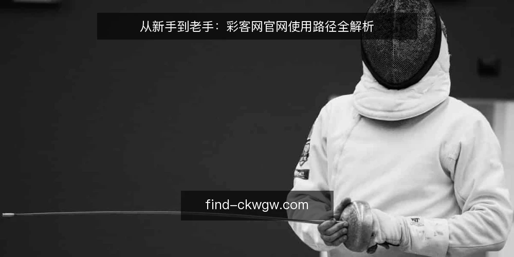 从新手到老手：彩客网官网使用路径全解析 — 初识：找到入口的困惑 配图