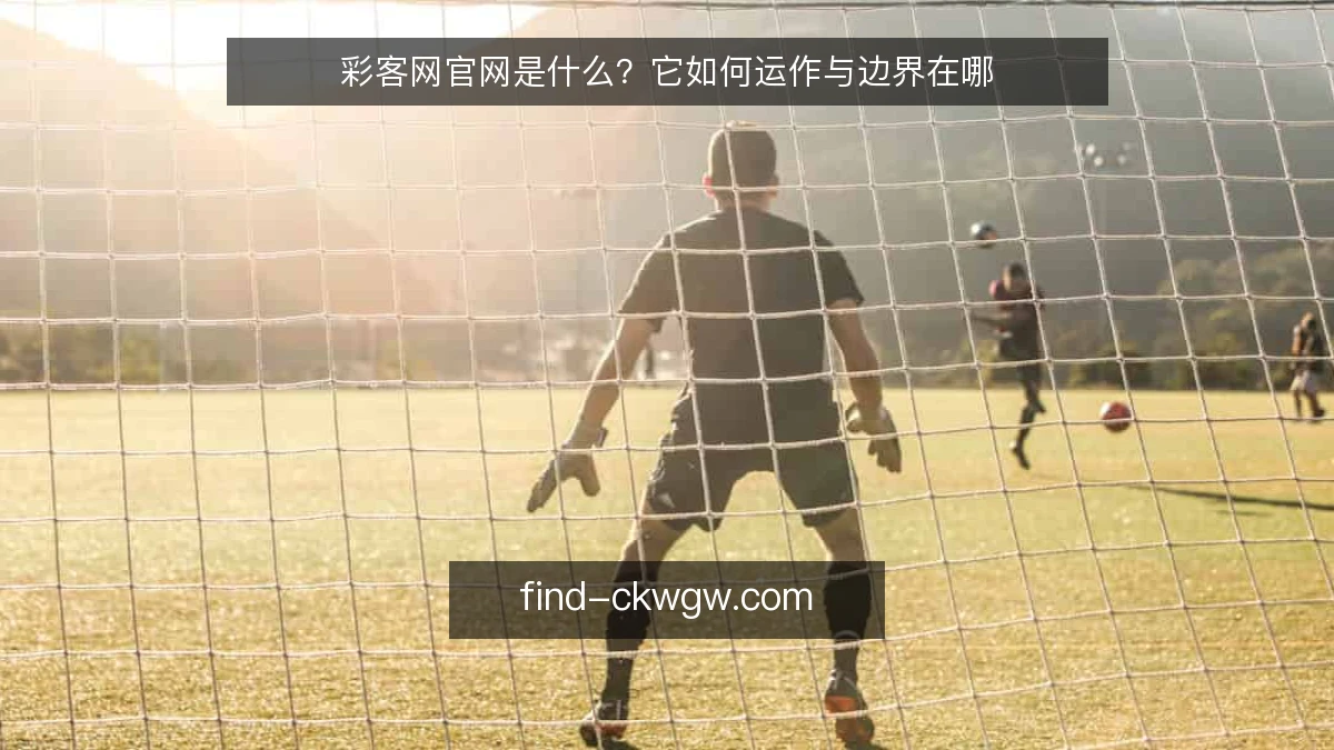 彩客网官网是什么？它如何运作与边界在哪