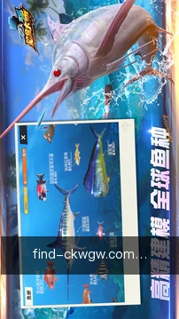 彩客网官网移动服务